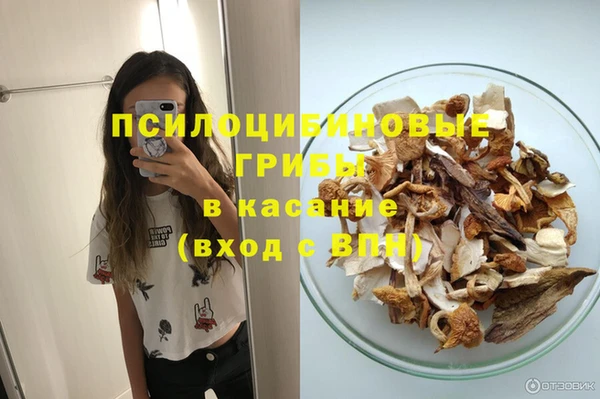 дживик Армянск